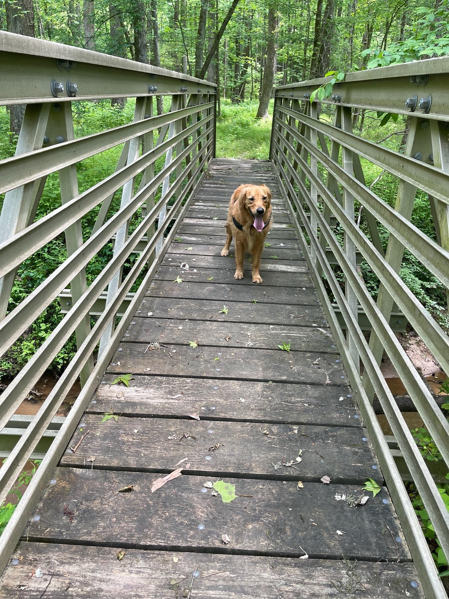 Apollo-in-the-post-water-break