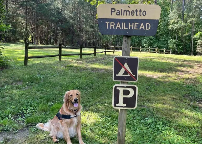 Hiking-the-Palmetto-Trail