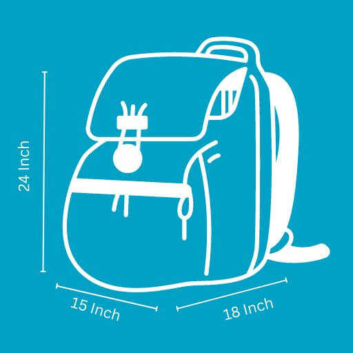 Backpack Size Requirement for Disney World