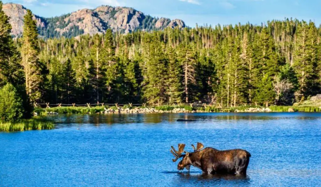 Rocky Mountain National Park