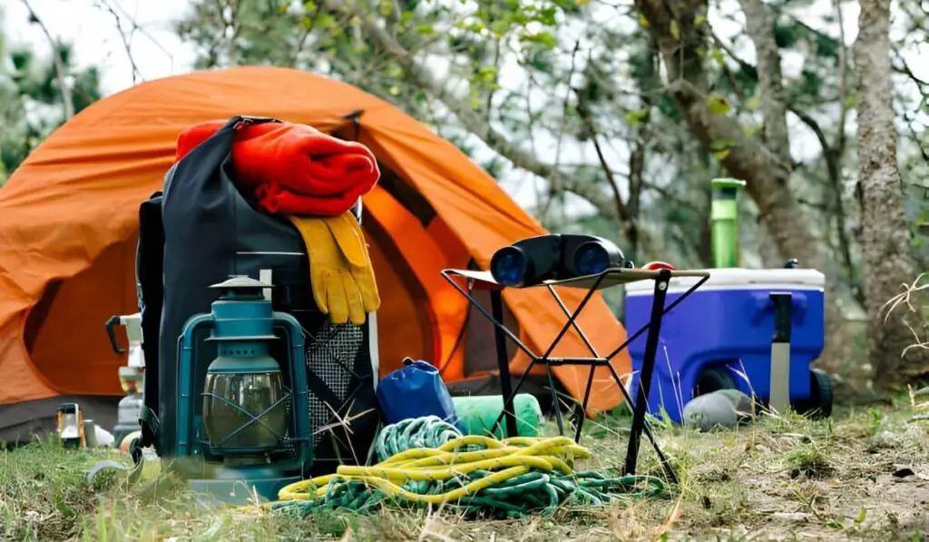 Use a cooler or an insulated bag