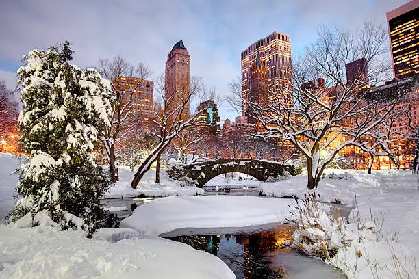 Winter in Central Park, New York City